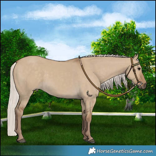 Horse Color:Chocolate Silver Smoky Grullo 