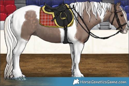 Horse Color:Silver Black Tobiano 