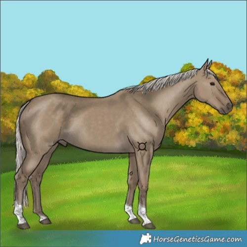 Horse Color:Silver Smoky Grullo Tobiano 