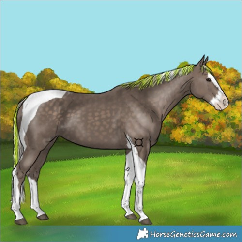 Horse Color:Painted Silver Black Splash Tobiano