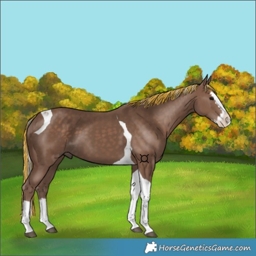Horse Color:Painted Silver Black Splash Tobiano 