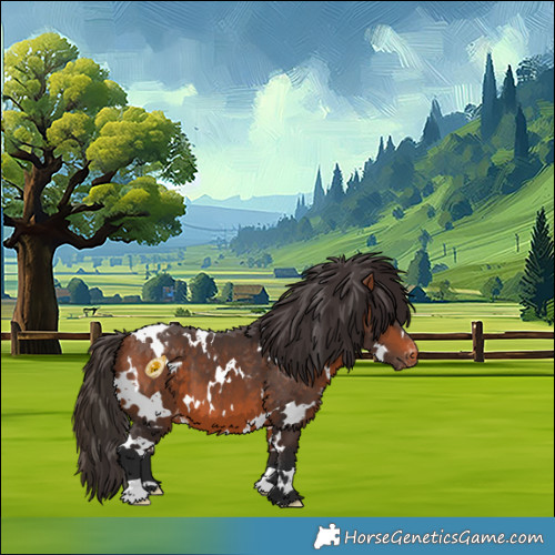 Horse Color:White Spotted Bay Appaloosa