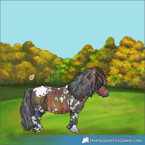 Horse Color:Nacre White Spotted Brown
