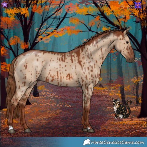 Horse Color:Red Dun Brindle