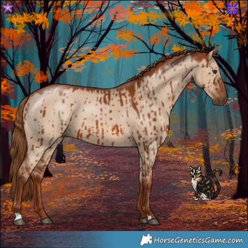 Horse Color:Red Dun Brindle 