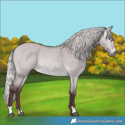 Horse Color:Chocolate Silver Bay Chinchilla Dun