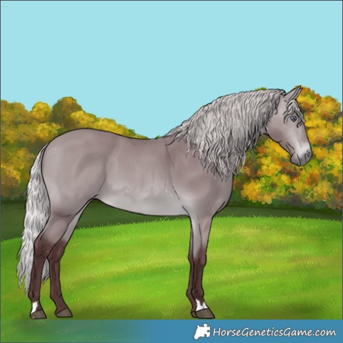 Horse Color:Chocolate Silver Bay Chinchilla 