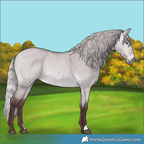 Horse Color:Chocolate Silver Bay Chinchilla Dun 
