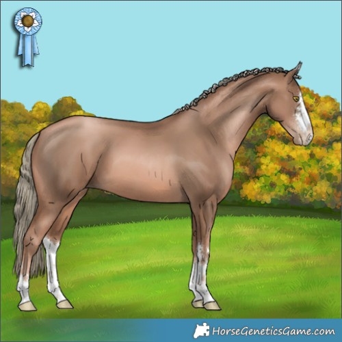 Horse Color:Liver Chestnut Pearl Mushroom 