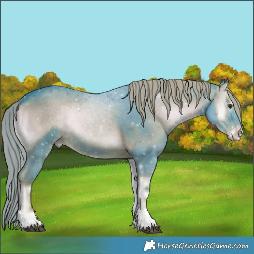 Horse Color:Watercolor Liver Red Onyx Sabino