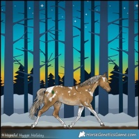 Horse Color:White Spotted Chocolate Palomino Dun Tobiano Rabicano