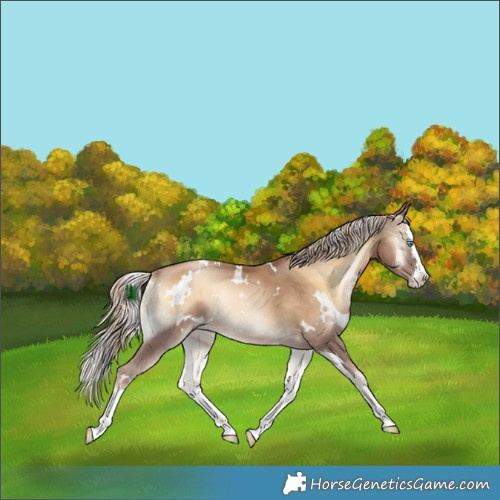 Horse Color:White Spotted Chocolate Palomino Pearl Onyx Splash