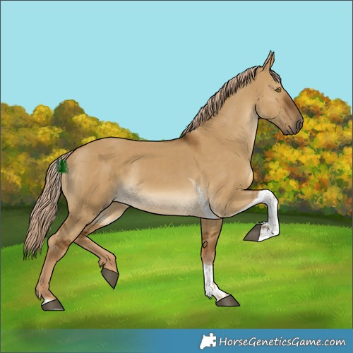 Horse Color:Chocolate Palomino Dun Tobiano 