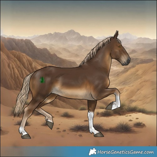 Horse Color:Gray Chocolate Palomino Tobiano 