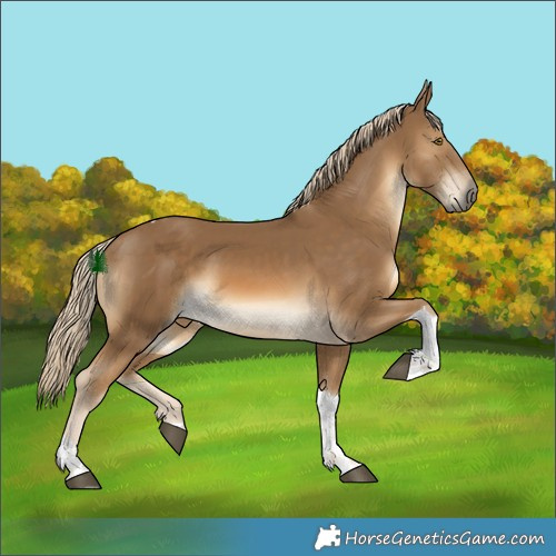 Horse Color:White Spotted Chocolate Palomino Tobiano