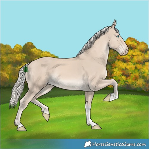 Horse Color:Cremello Tobiano