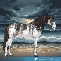 Horse Color:White Spotted Liver Chestnut Rabicano 