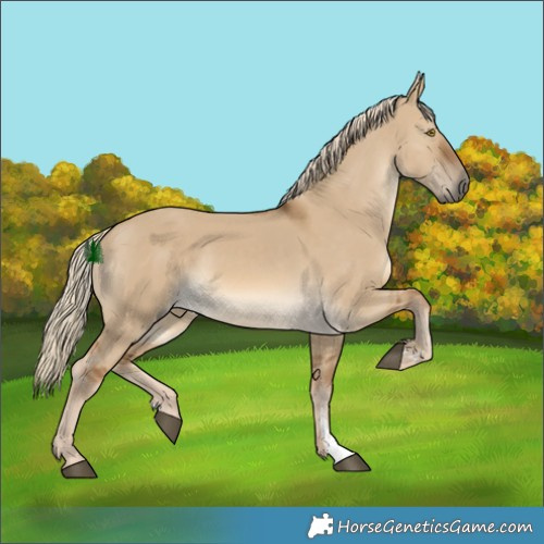 Horse Color:Chocolate Palomino Dun 