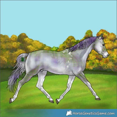 Horse Color:Watercolor Plaid  Liver Red Onyx Tobiano 