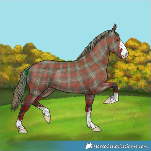 Horse Color:Plaid  Liver Red Dun Rabicano 