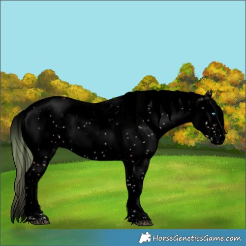 Horse Color:Void Watercolor Plaid  Liver Red Dun Onyx Sabino Splash 