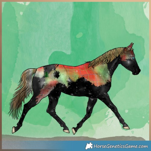 Horse Color:Void Watercolor Plaid  Liver Red Onyx Splash Tobiano 