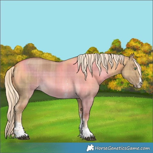Horse Color:Plaid  Chocolate Palomino Dun Sabino 
