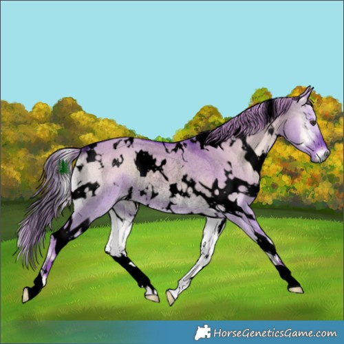 Horse Color:Void Watercolor White Spotted Liver Red Dun Onyx Rabicano 