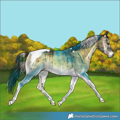 Horse Color:Plaid  Liver Red Dun Onyx Tobiano Rabicano Brindle 
