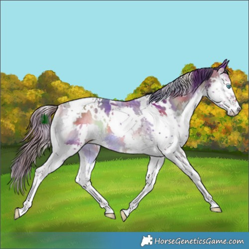 Horse Color:Nacre White Spotted Liver Red Onyx Splash Tobiano 
