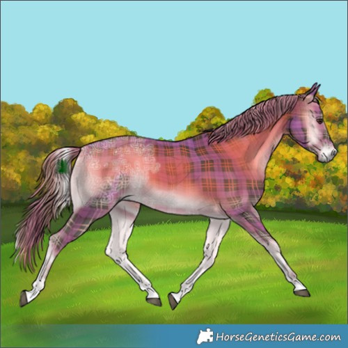 Horse Color:Plaid  Liver Red Onyx Ice 