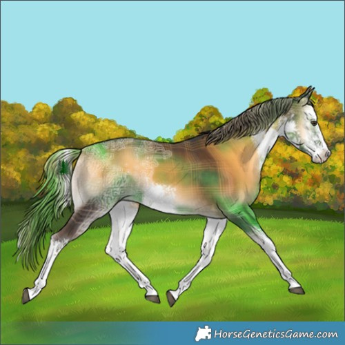 Horse Color:Plaid  White Spotted Liver Red Onyx Ice 