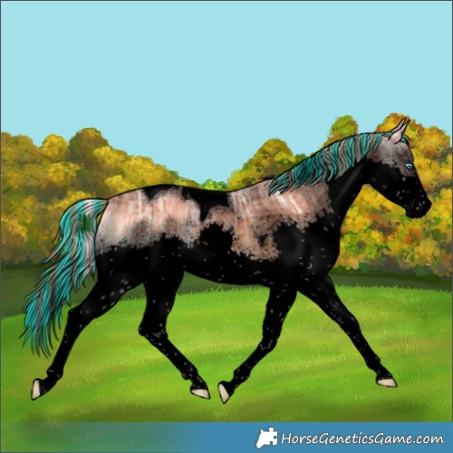 Horse Color:Void Painted Plaid Liver Red Onyx Ice Splash Tobiano