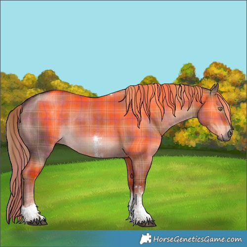 Horse Color:Plaid  Liver Red Dun Sabino Tobiano Rabicano 