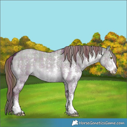Horse Color:Plaid Liver Red Dun Sabino