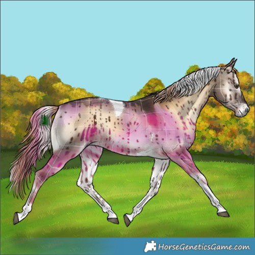 Horse Color:Plaid  Liver Red Dun Onyx Tobiano Brindle 