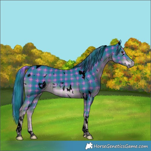 Horse Color:Void Watercolor Plaid  White Spotted Liver Chestnut Tobiano 