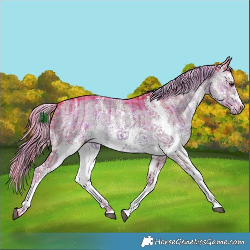 Horse Color:Watercolor Plaid  White Spotted Chocolate Palomino Dun Brindle 