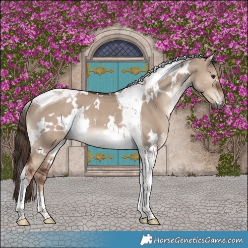 Horse Color:White Spotted Liver Red Dun Tobiano Rabicano