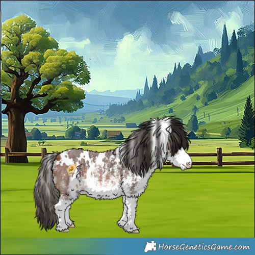 Horse Color:White Spotted Bay 