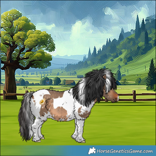 Horse Color:White Spotted Brown Dun Tobiano 