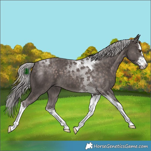 Horse Color:Platinum White Spotted Chocolate Palomino Tobiano
