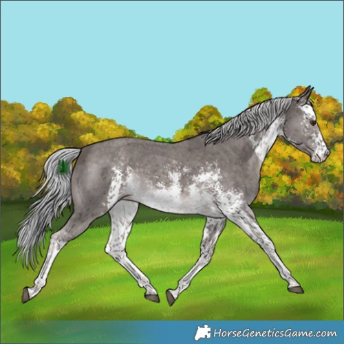Horse Color:Platinum White Spotted Chocolate Palomino Sabino
