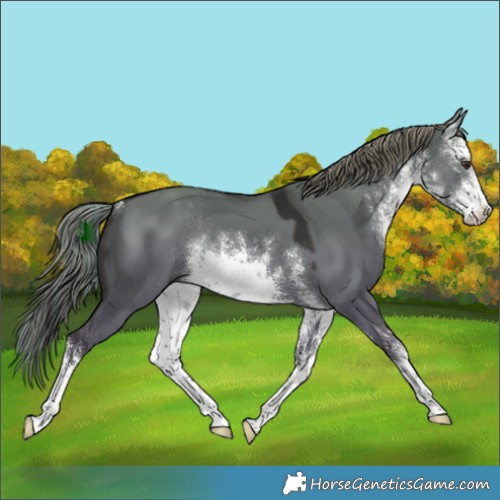 Horse Color:Platinum White Spotted Liver Red Dun Rabicano