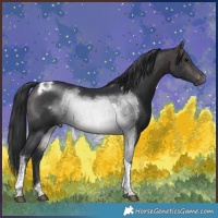 Horse Color:Platinum Brown Tobiano Rabicano
