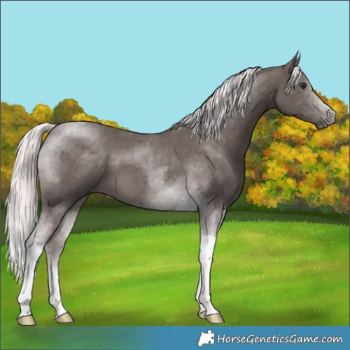 Horse Color:Platinum Chocolate Palomino Tobiano 