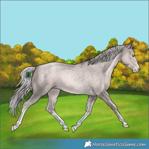 Horse Color:Platinum White Spotted Chocolate Palomino Pearl Tobiano