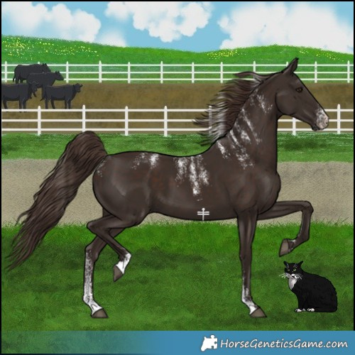 Horse Color:Powder White Liver Chestnut 