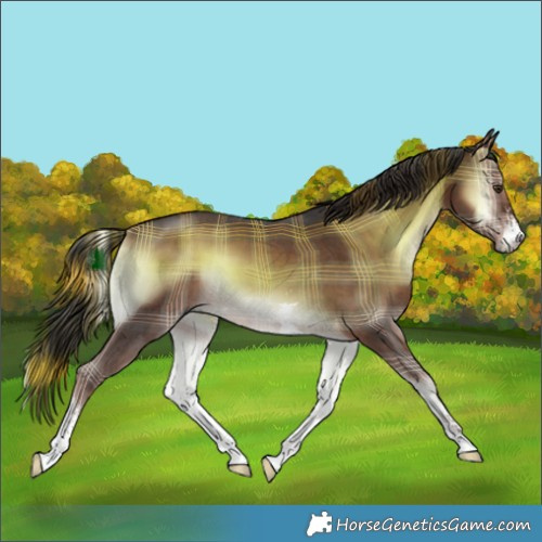 Horse Color:Plaid  Liver Red Onyx Sabino Tobiano 