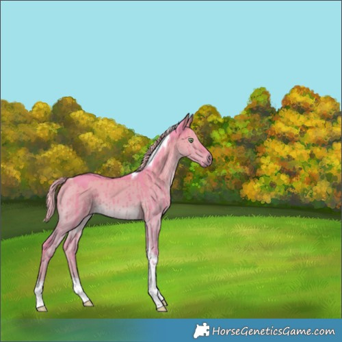 Horse Color:Watercolor Chocolate Palomino Dun Tobiano Brindle